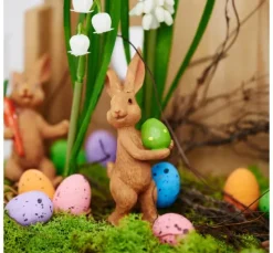 Frühjahrsblumen Mix mit Zwiebel