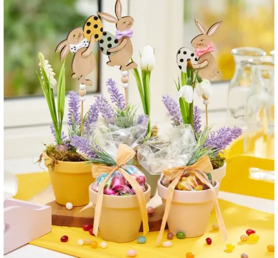 Frühjahrsblumen Mix mit Zwiebel