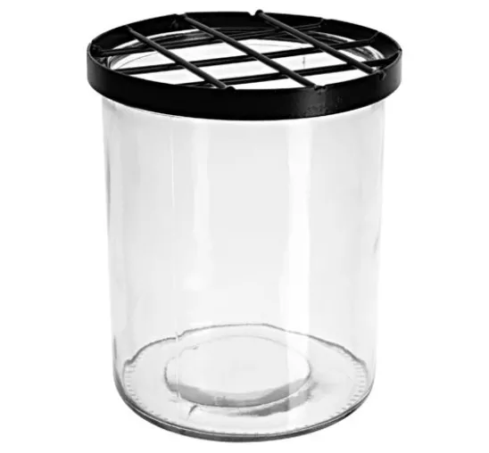 Glasvase mit Steckgitter