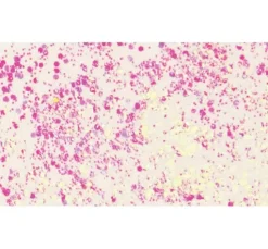 Glitter Flaky Glue