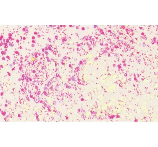 Glitter Flaky Glue
