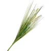Gras mit Fruchtstand