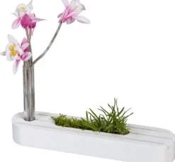 Holzständer mit Reagenzglas