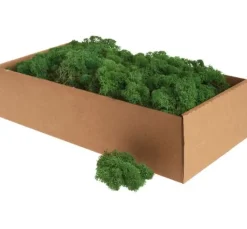 Islandmoos, 400 g