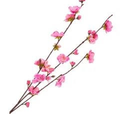 Kirschblüten Zweig