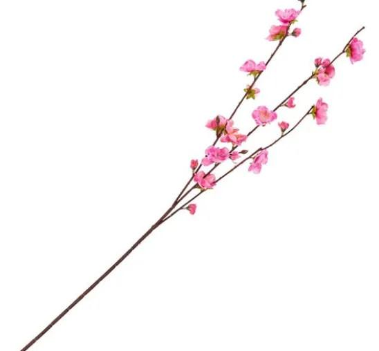 Kirschblüten Zweig