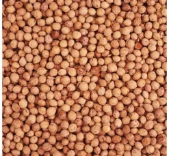 Kirschkerne 500g