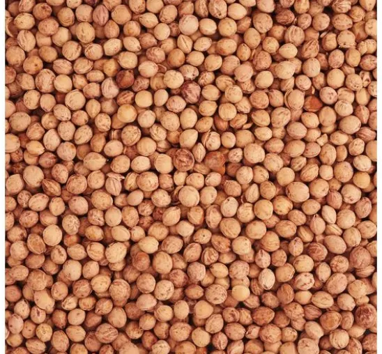 Kirschkerne 500g