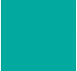 KREUL Triton Acrylic Liquid