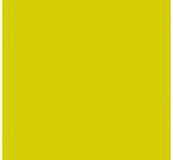 KREUL Triton Acrylic Liquid