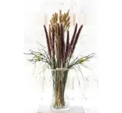 Lagurus