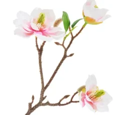 Magnolien-Pick mit 3 Blüten