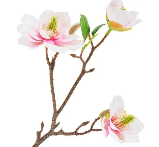Magnolien-Pick mit 3 Blüten
