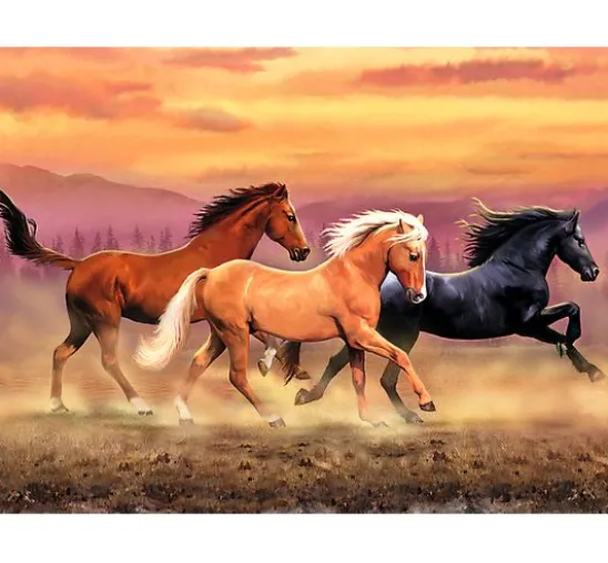 Malen nach Zahlen "Freiheit"
