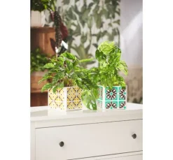 Marabu Porcelain & Glass
