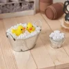 Miniatur-Badeenten
