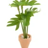 Miniatur Pflanze "Monstera"