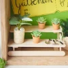 Miniatur-Set "Zimmerpflanzen"