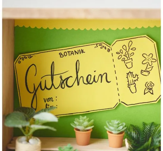 Miniatur-Set "Zimmerpflanzen"