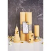 Motivkarton "Golden Stars"