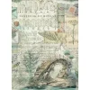 Motiv-Strohseiden Sortiment "Herbarium Silvae", 6er-Set