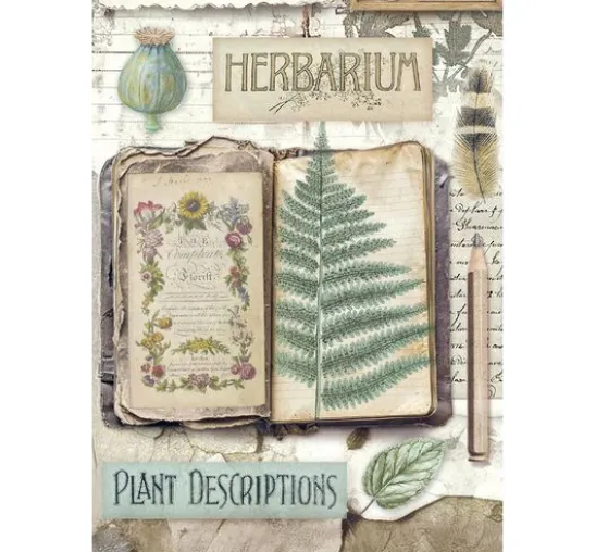Motiv-Strohseiden Sortiment "Herbarium Silvae", 8er Set