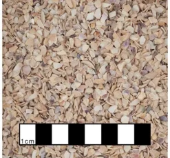 Muschelgranulat