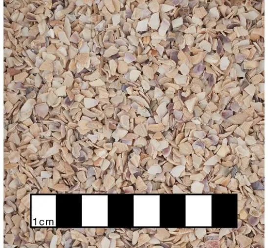 Muschelgranulat