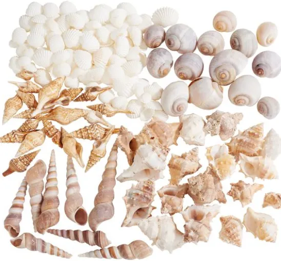 Muschelmix, natural
