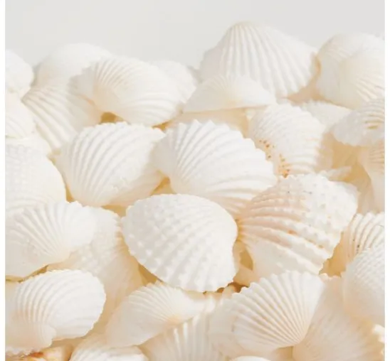 Muschelmix, natural