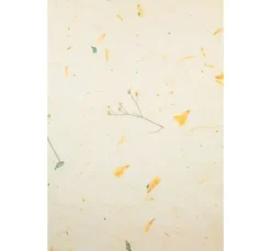 Naturpapiere 