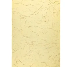 Naturpapiere 
