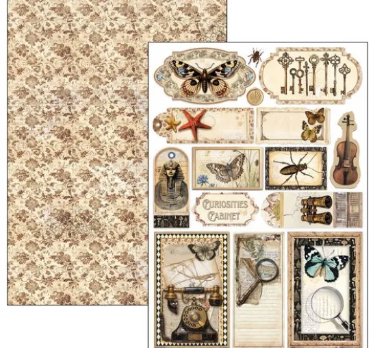 Papier-Set "Cabinet of Curiosities"