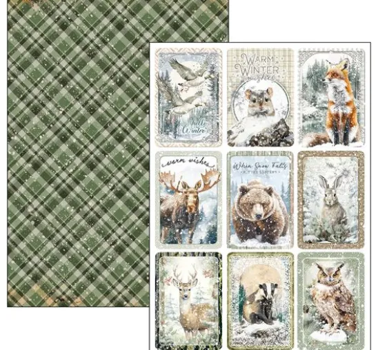 Papier-Set "Forest Tales"