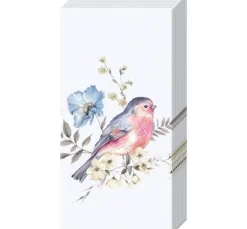 Papiertaschentücher "Birds"