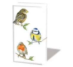 Papiertaschentücher "Birds"