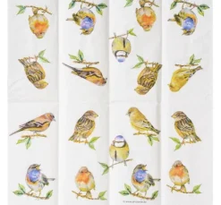 Papiertaschentücher "Birds"