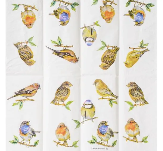 Papiertaschentücher "Birds"
