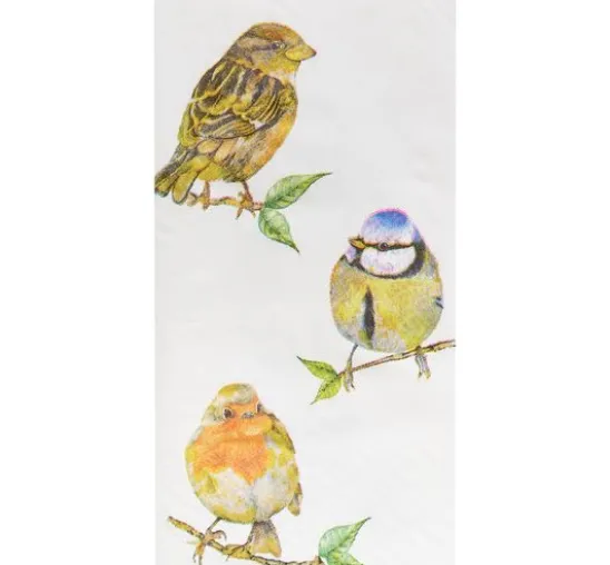 Papiertaschentücher "Birds"