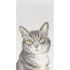 Papiertaschentücher "Cat"