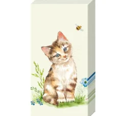 Papiertaschentücher 