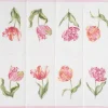 Papiertaschentücher "Driselle"