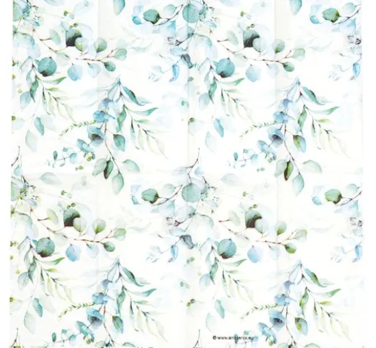 Papiertaschentücher "Eucalyptus all over"