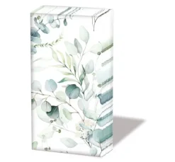 Papiertaschentücher "Eucalyptus all over"