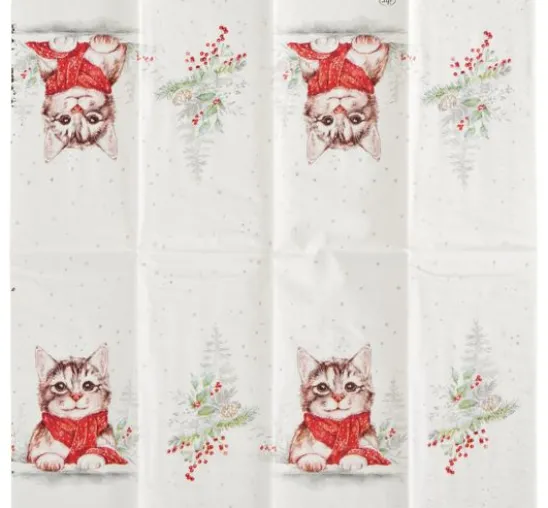 Papiertaschentücher "Minou"
