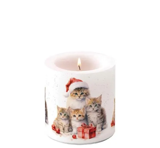 Papiertaschentücher "Weihnachtskatzen"