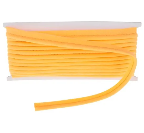 Paspelband
