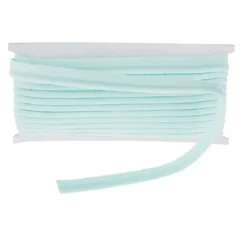 Paspelband