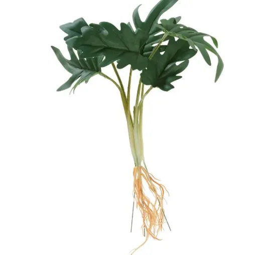 Philodendron-Busch