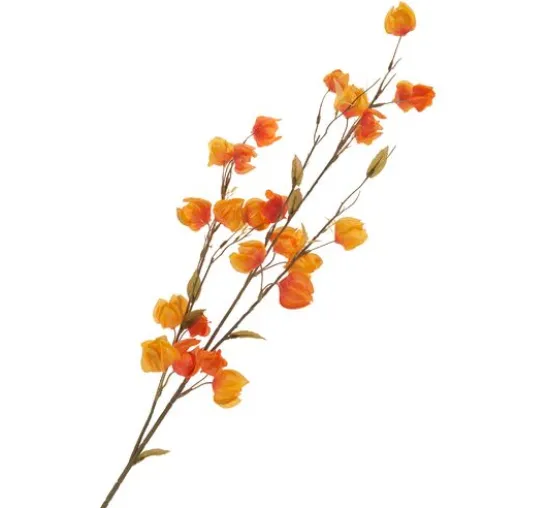 Physalis-Zweig "Elina"